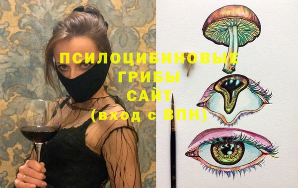 прущие крисы Арсеньев